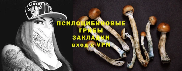 каннабис Алзамай
