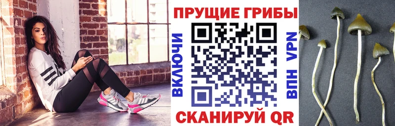 Псилоцибиновые грибы MAGIC MUSHROOMS  наркошоп  Калач-на-Дону 