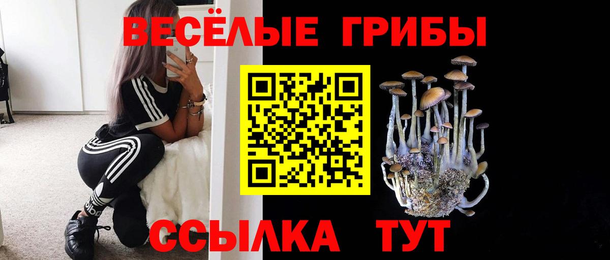 Калач-на-Дону  Псилоцибиновые грибы мухоморы  Вход с VPN 